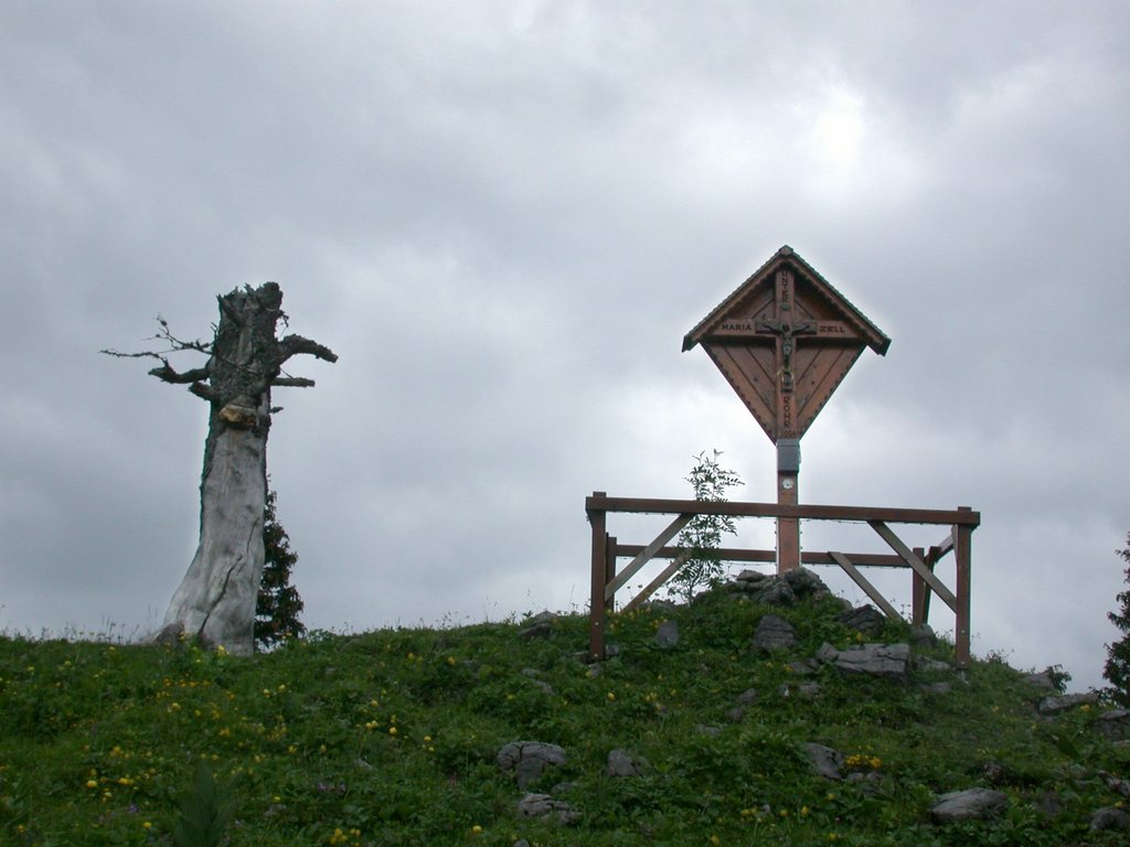 DSCN6126.JPG