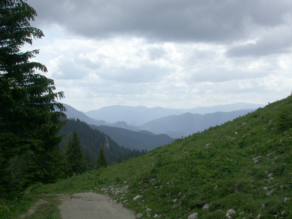 DSCN6128.JPG