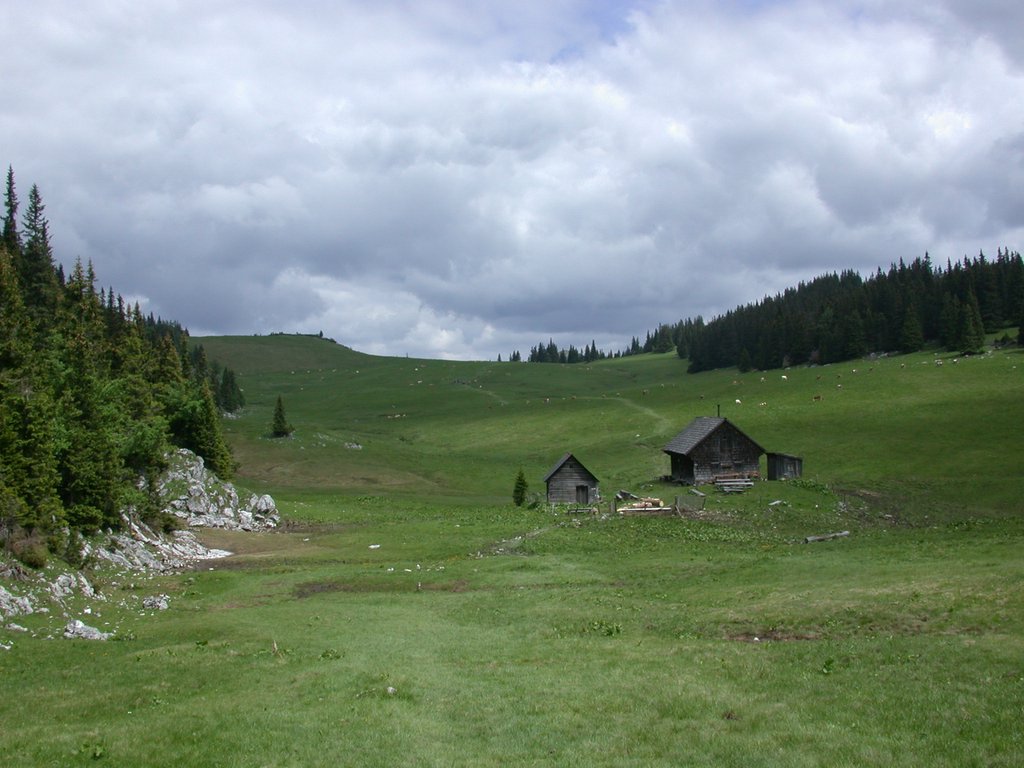 DSCN6133.JPG