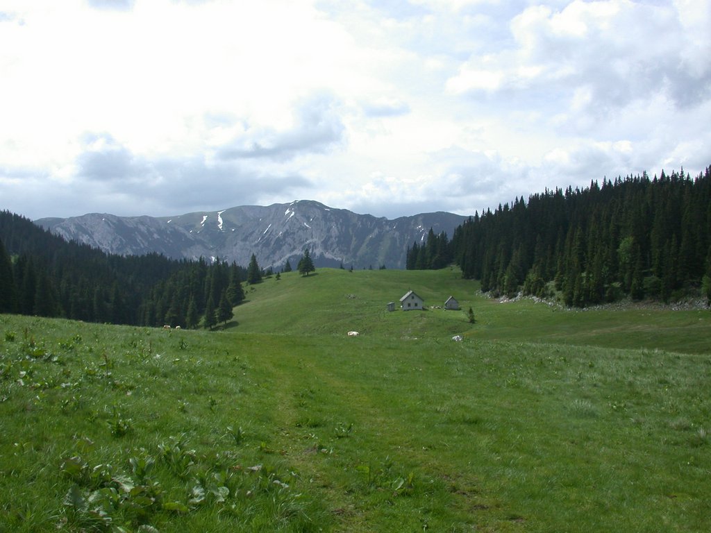 DSCN6137.JPG