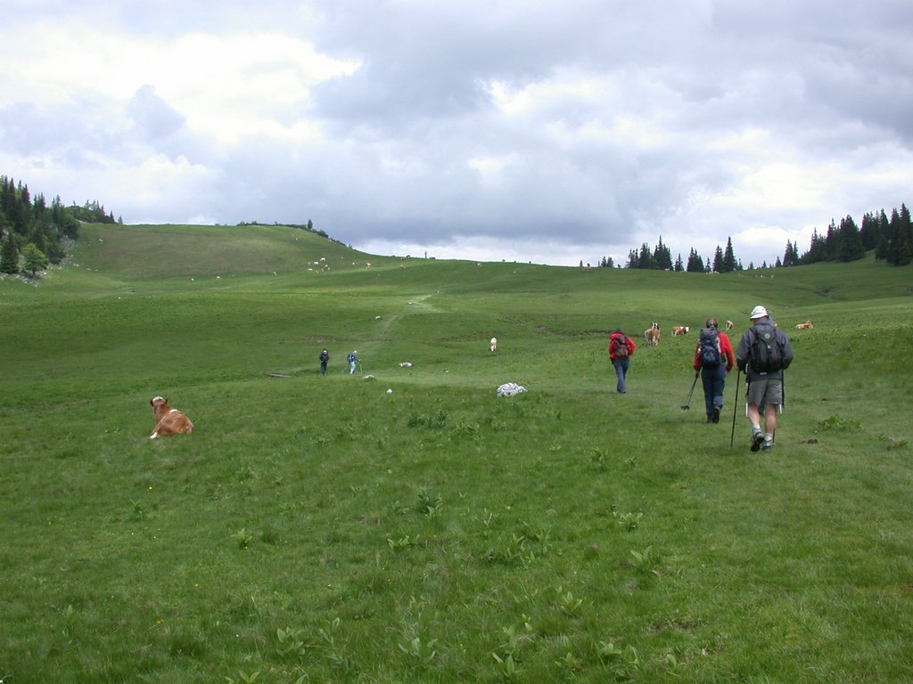 DSCN6138.JPG
