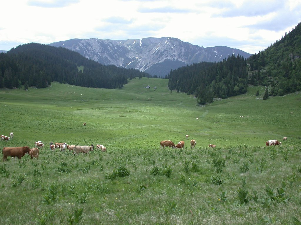 DSCN6143.JPG