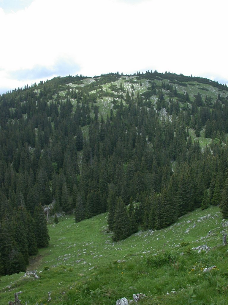 DSCN6152.JPG