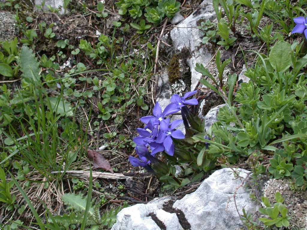 DSCN6156.JPG