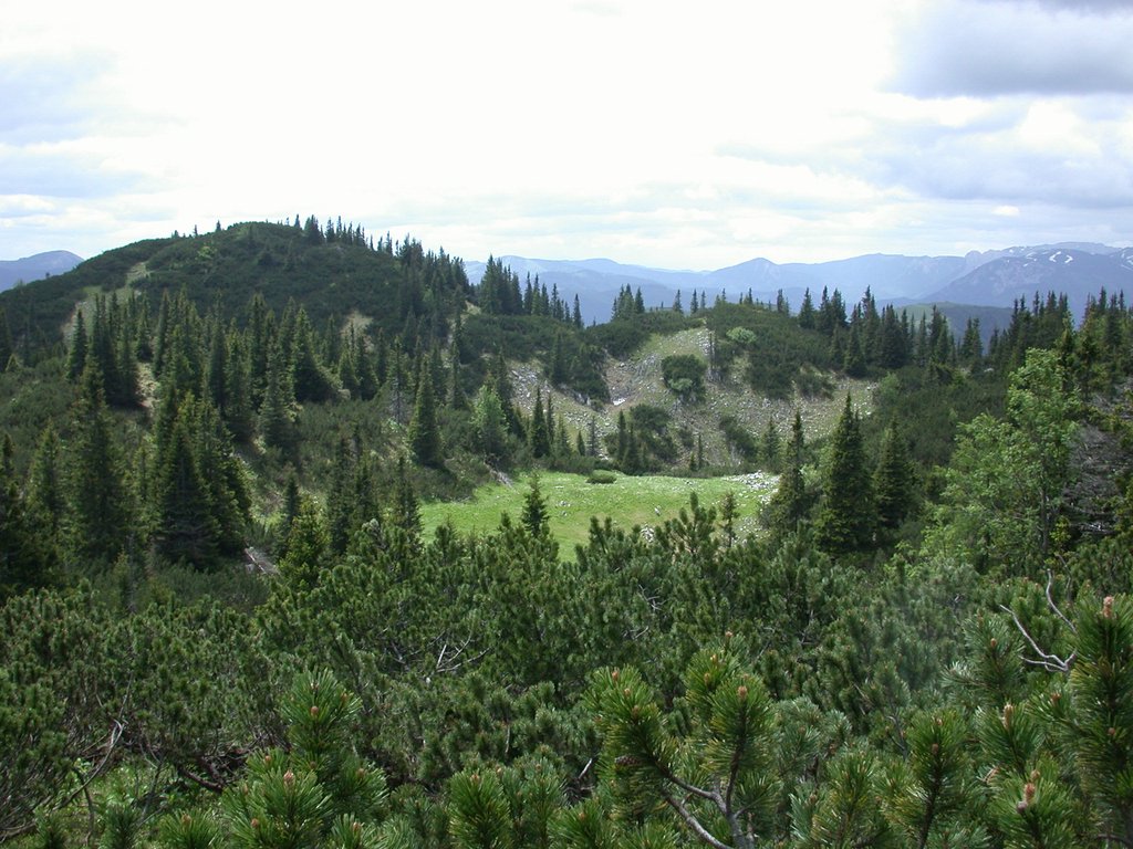 DSCN6163.JPG