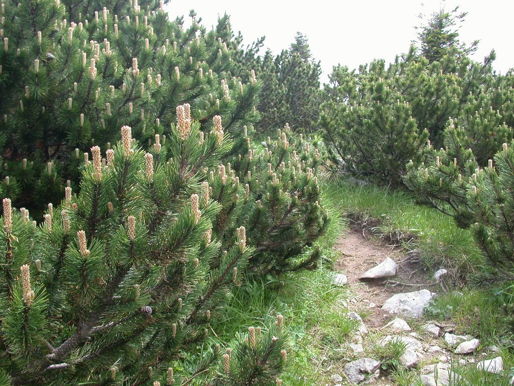 DSCN6166.JPG