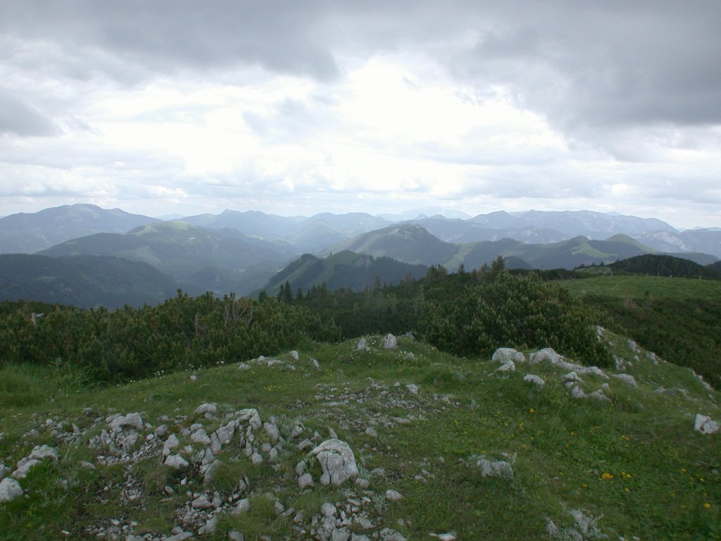 DSCN6182.JPG
