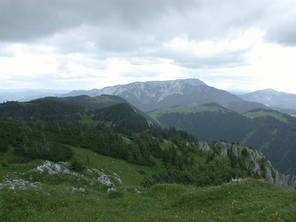 DSCN6183.JPG