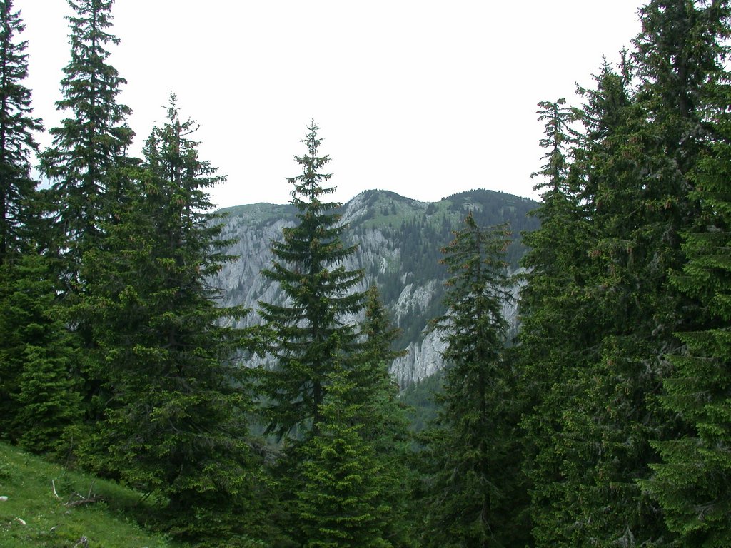DSCN6223.JPG