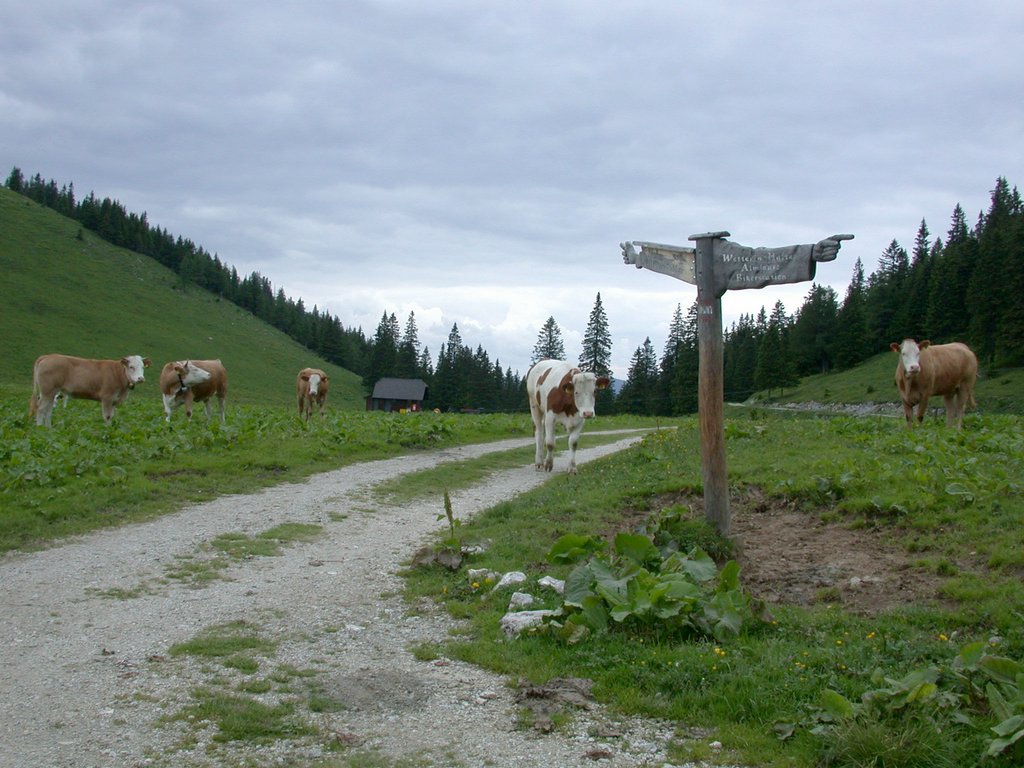 DSCN6233.JPG