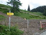 DSCN6115.JPG