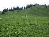DSCN6119.JPG