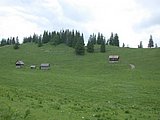 DSCN6122.JPG
