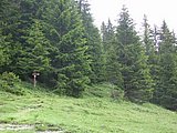 DSCN6129.JPG