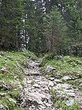 DSCN6132.JPG