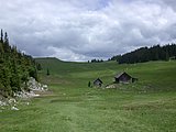 DSCN6133.JPG