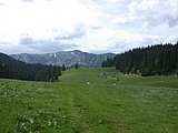DSCN6137.JPG