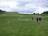 DSCN6138.JPG