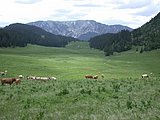 DSCN6143.JPG