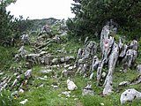 DSCN6146.JPG