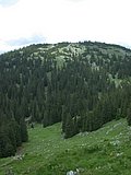 DSCN6152.JPG