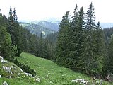 DSCN6153.JPG