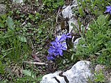 DSCN6156.JPG