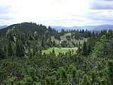 DSCN6163.JPG