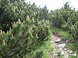 DSCN6166.JPG