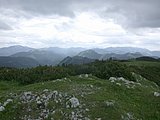 DSCN6182.JPG