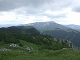 DSCN6183.JPG