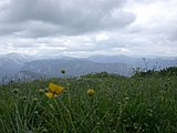 DSCN6191.JPG