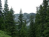 DSCN6223.JPG