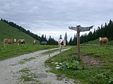 DSCN6233.JPG