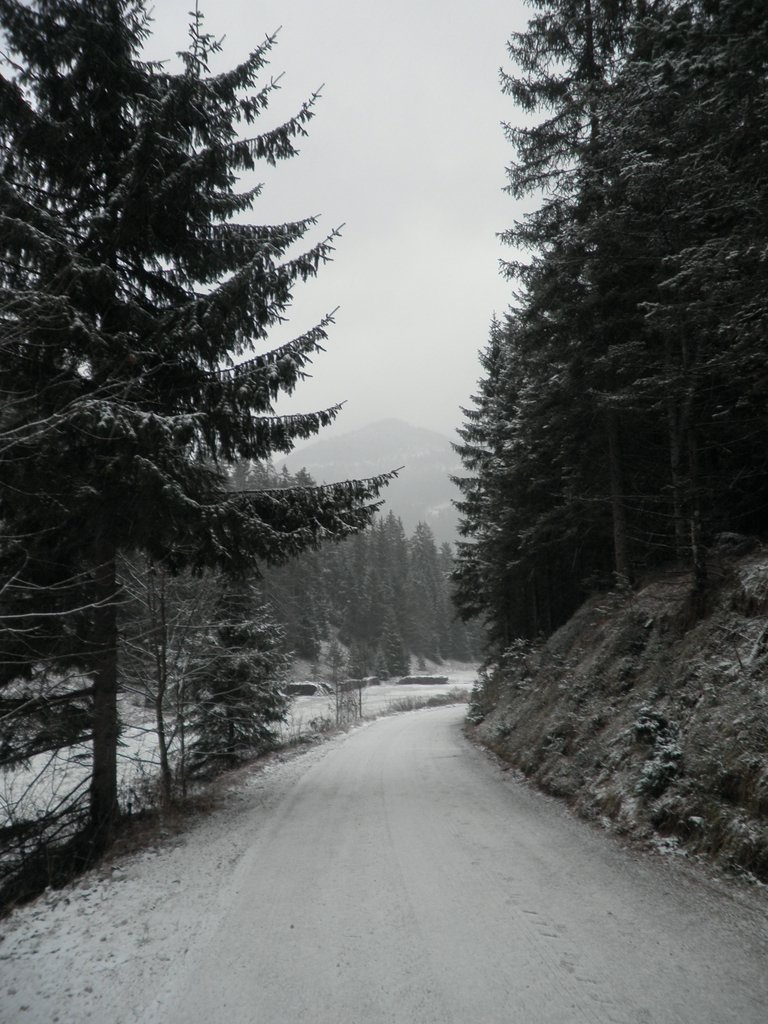 PC120003.JPG