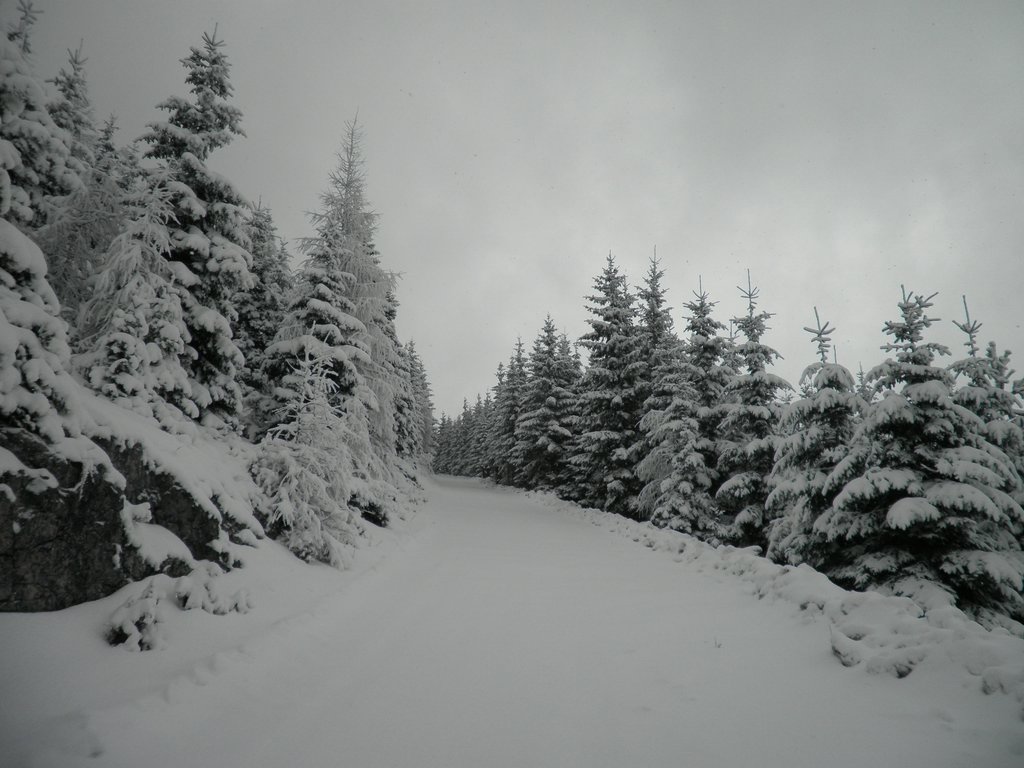 PC120017.JPG