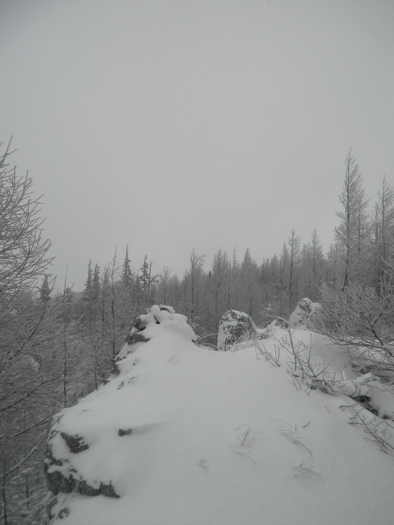 PC120022.JPG