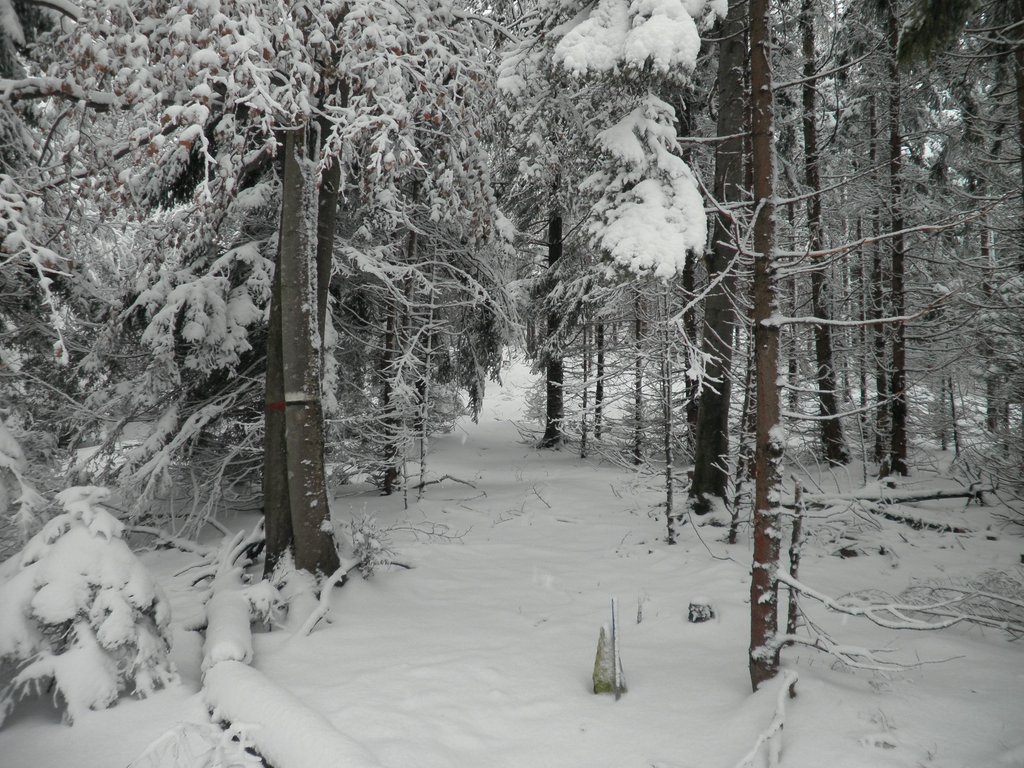 PC120029.JPG