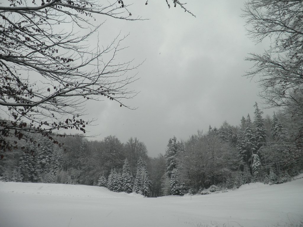 PC120036.JPG