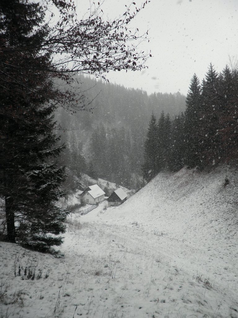 PC120043.JPG