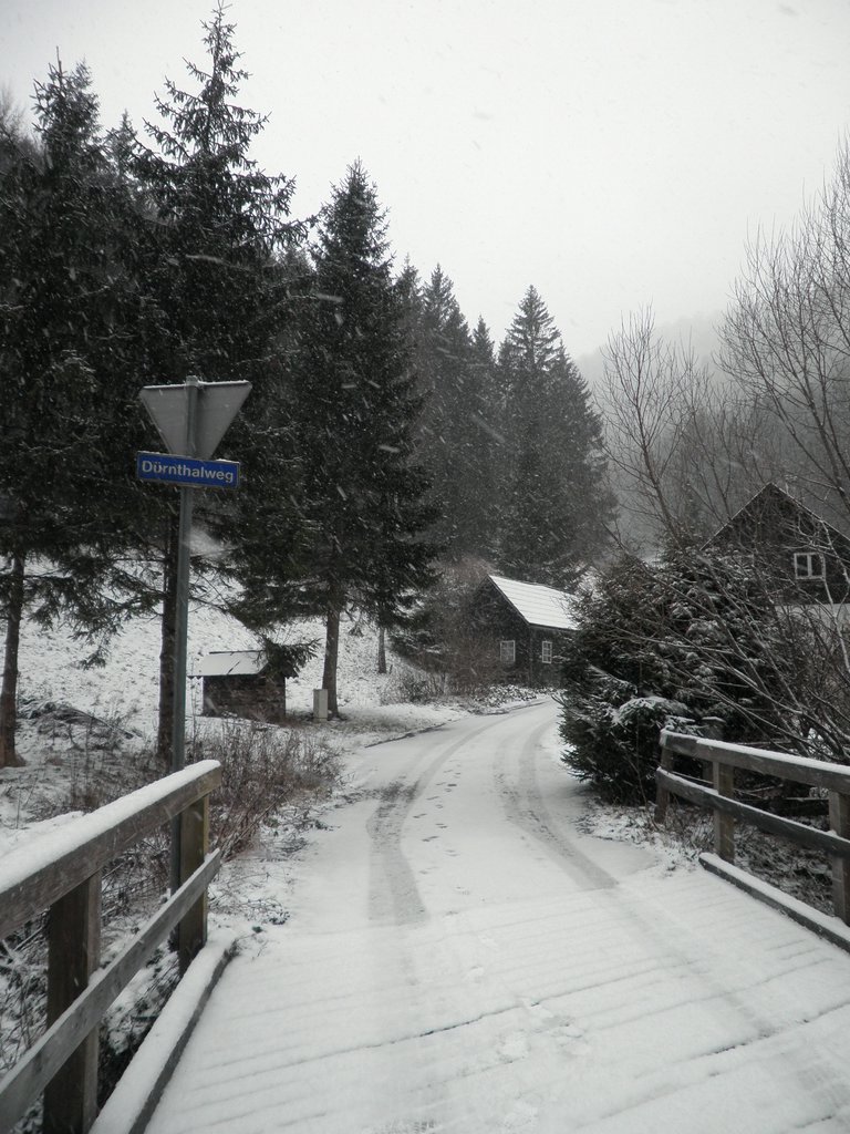 PC120047.JPG