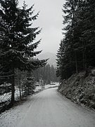 PC120003.JPG