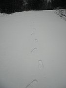 PC120005.JPG