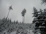 PC120014.JPG