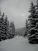 PC120015.JPG
