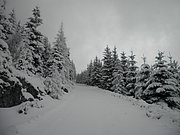 PC120017.JPG