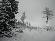 PC120020.JPG