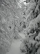 PC120021.JPG