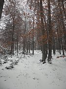 PC120027.JPG