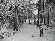 PC120029.JPG